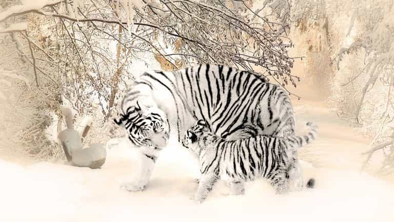 Convertir en blanco con Photoshop