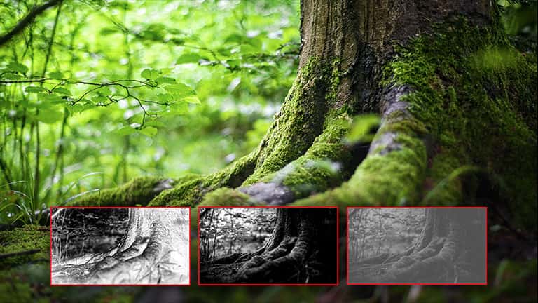 Crear Máscaras de luminosidad en Photoshop + acción gratis