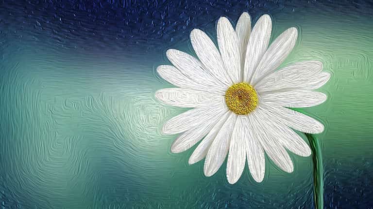 Efecto de pintura al óleo en Photoshop
